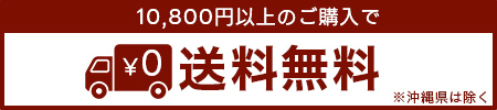 10,800円以上の購入で送料無料
