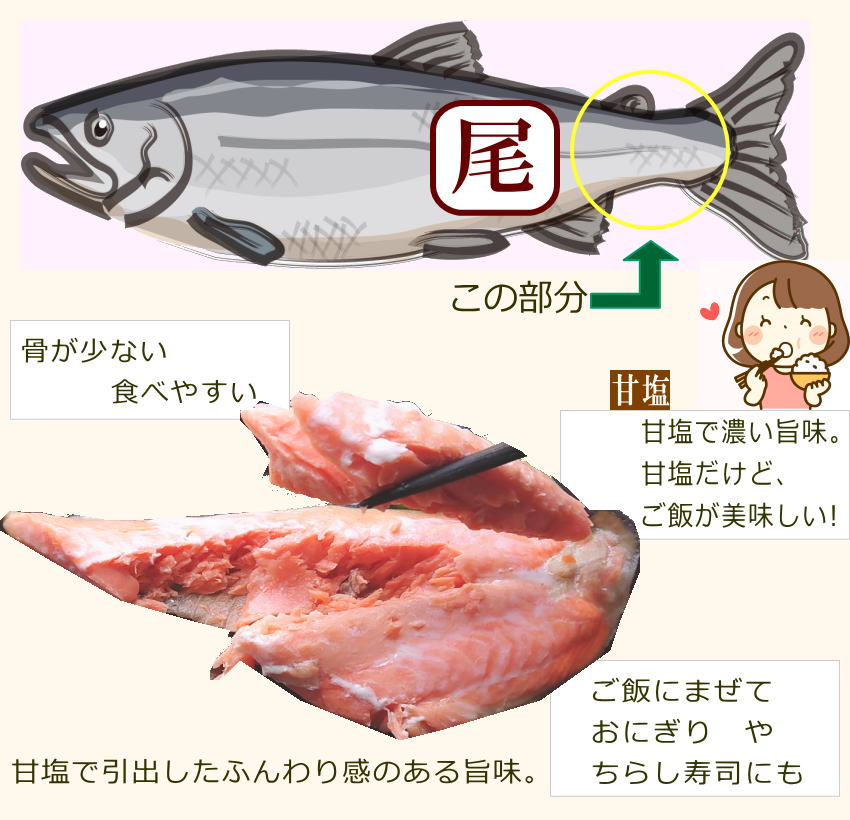 佐渡産銀鮭　尾