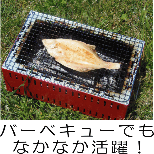 干物バーベキュー