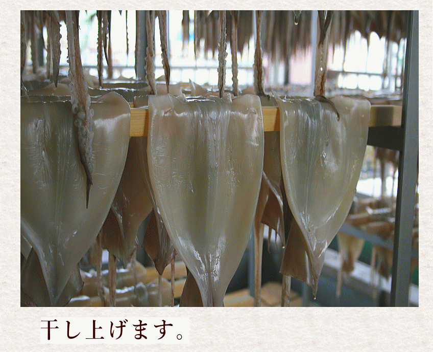 昆布いか干す