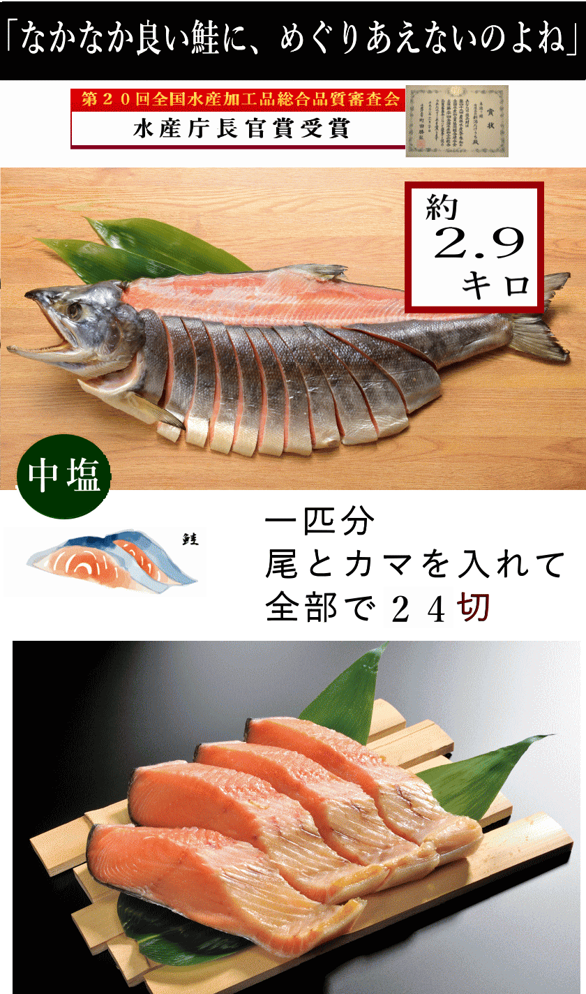 鮭2.9