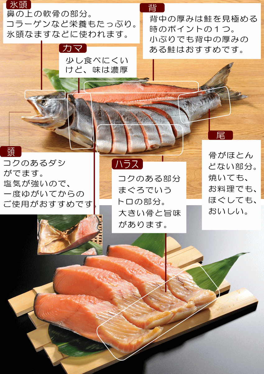 鮭ってこんなに体に良い 鮭ってこんなに体に良い