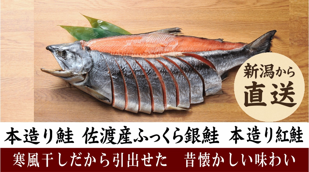 鮭｜トップ