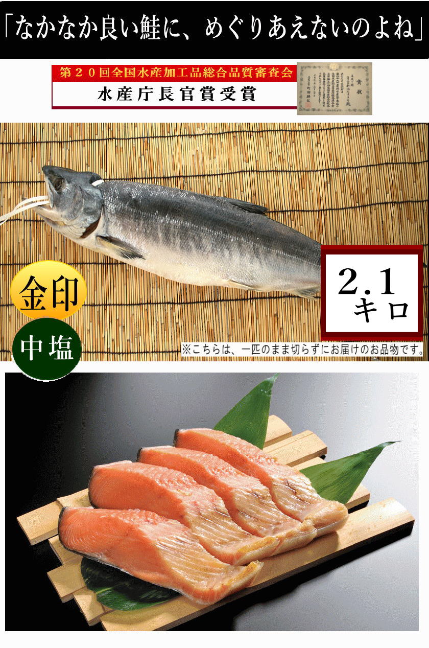 鮭一本2.1