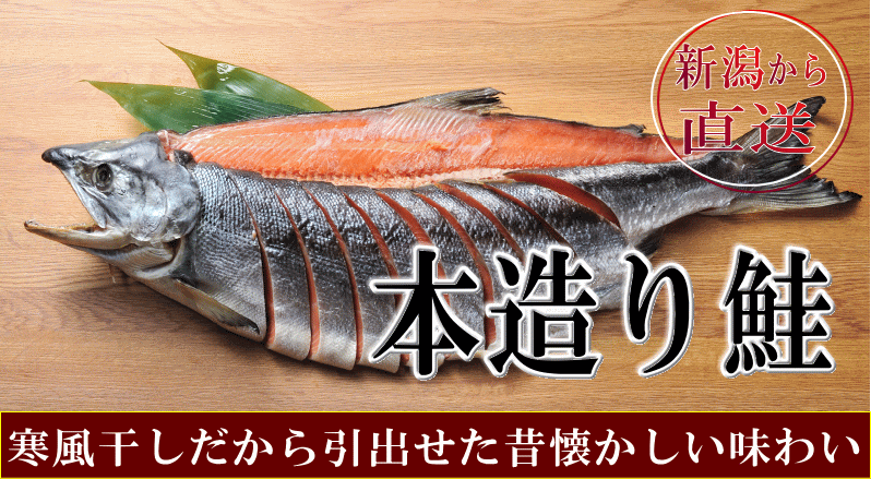 鮭|トップ