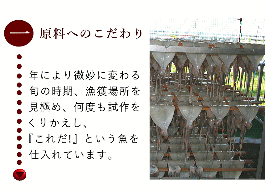 干したイカ