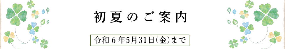 初夏のおすすめ