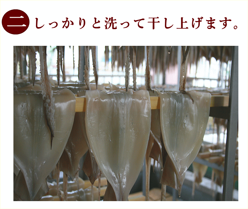 干したイカ