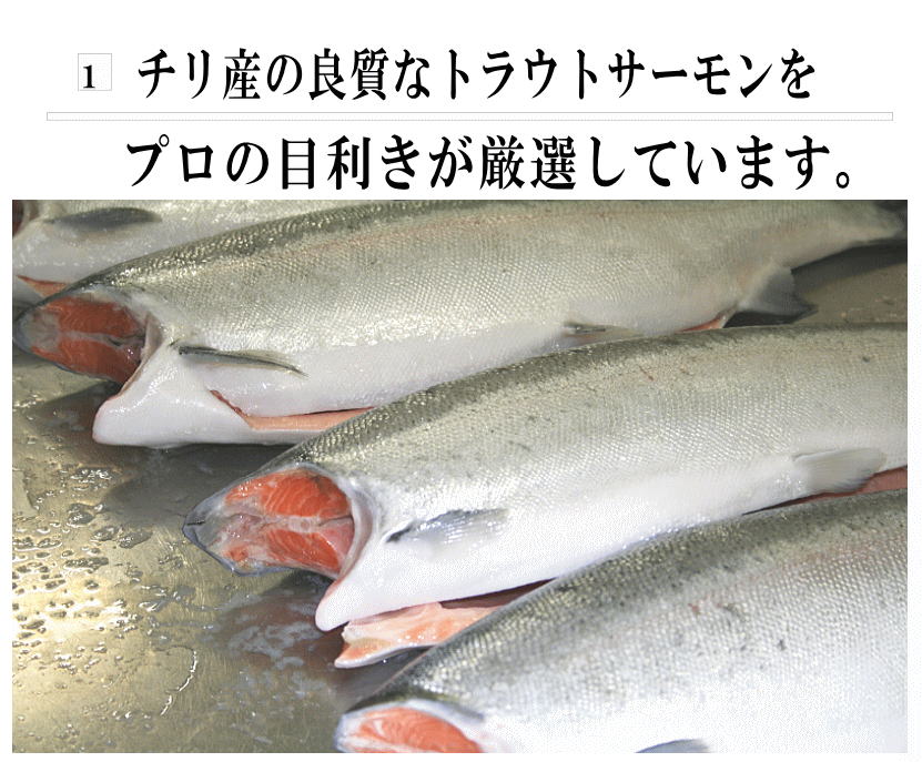 ますチリ産