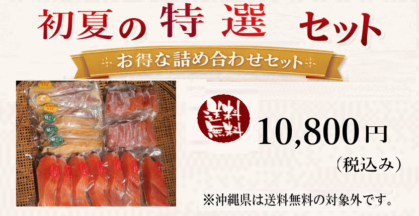 しげざう様 まとめ売り Z/Xを予約してPRカードをもらおう！キャンペーン ゼクスプラッシュ