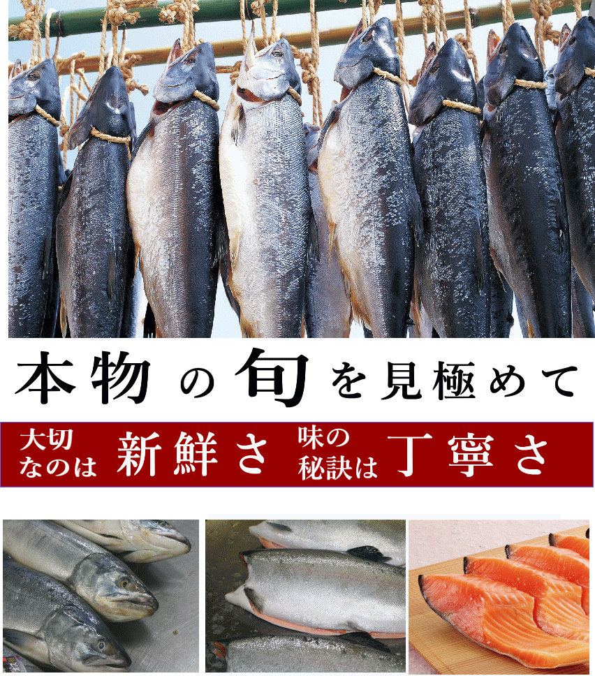 本造り鮭美味しさの秘訣