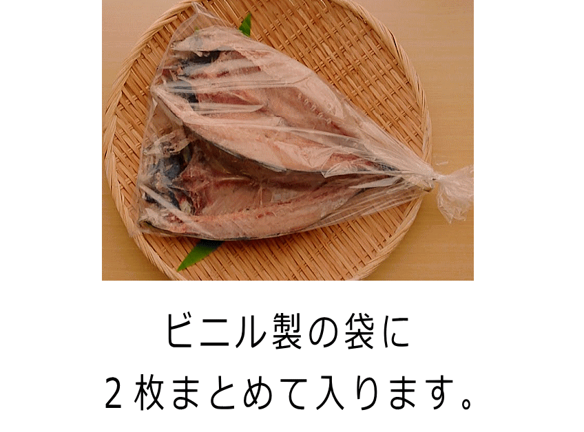 アジ大きさ