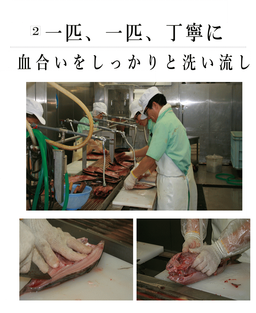 ほっけ干し|新鮮