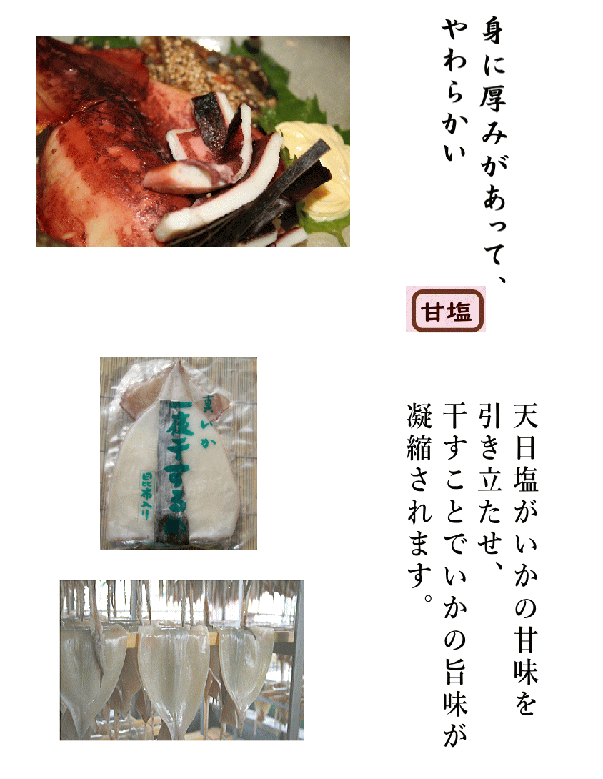 昆布いか説明