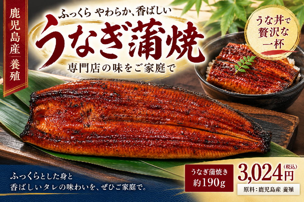 うなぎの蒲焼