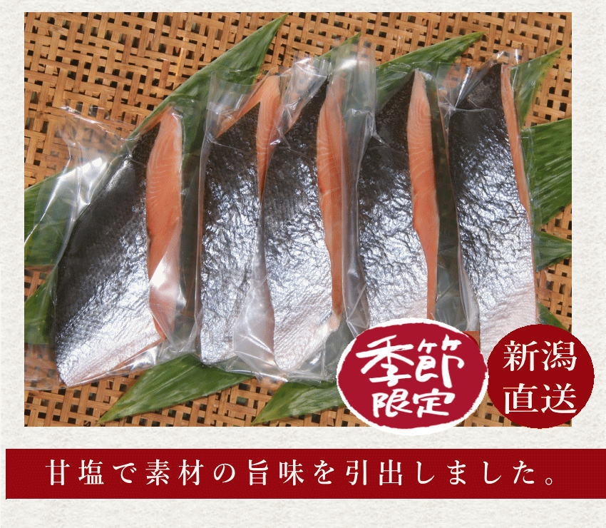 さくらます一本