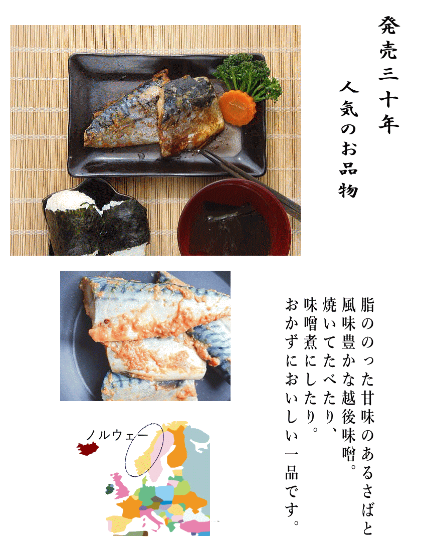 さば味噌ノルウェー