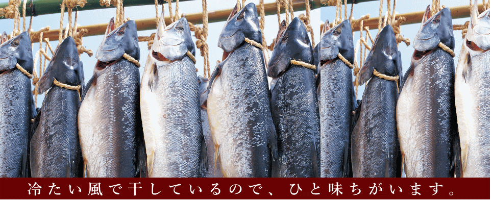新潟たけうち| 干した鮭の専門店【公式ページ】