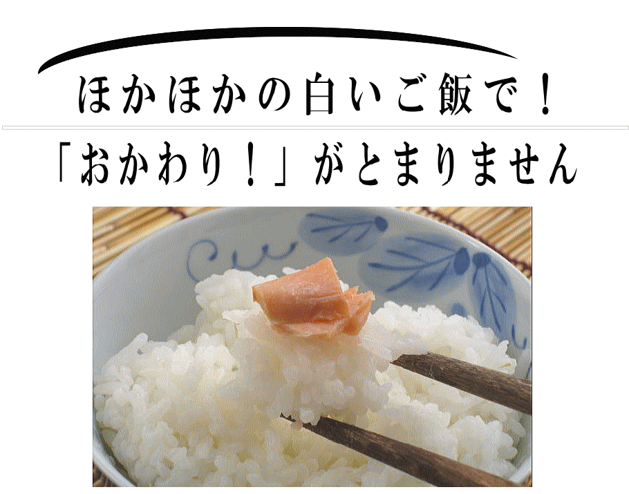 鮭ごはんがおいしくすすみます。