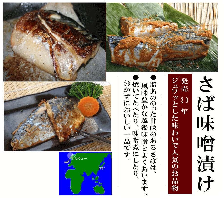 さば味噌ノルウェー
