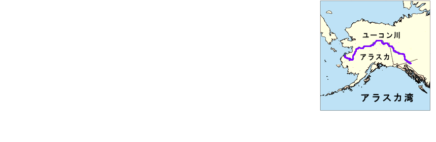 説明枠