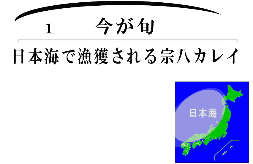 説明枠