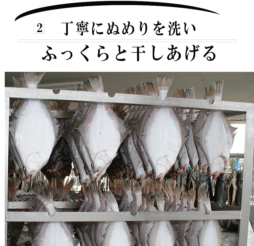 宗八かれい2