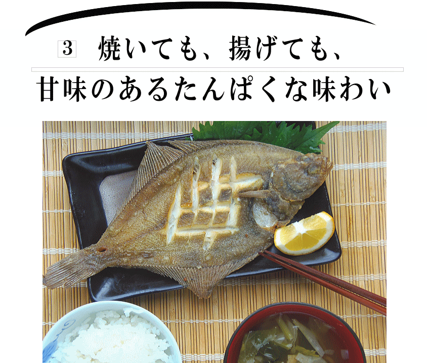 宗八かれい3
