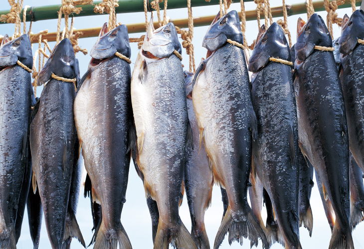 鮭各種 新潟たけうち| 干した鮭の専門店【公式ページ】