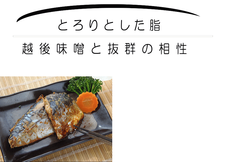 さば干し|新鮮