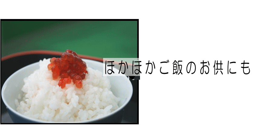 筋子｜ほかほかご飯に