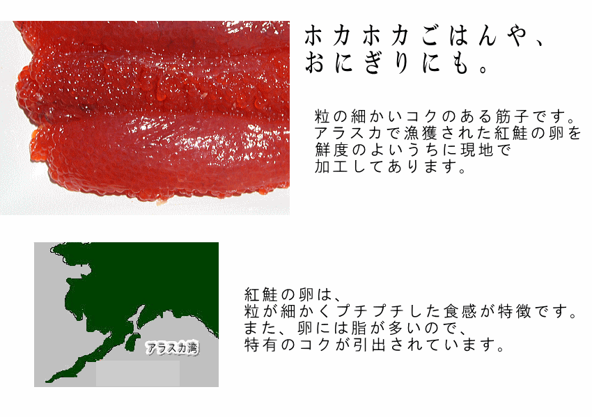 すじこ