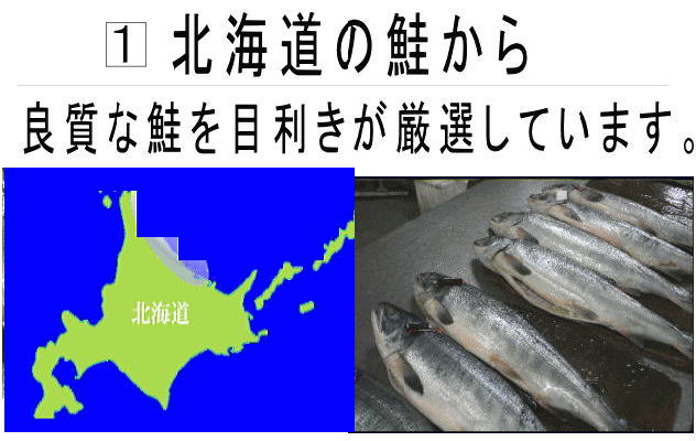 鮭　北海道産のものを目利き