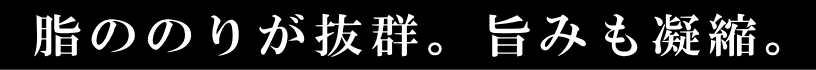 脂ののりが抜群。旨みも凝縮。