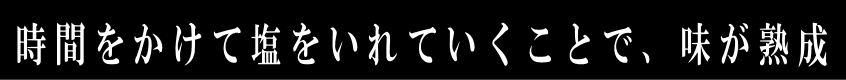 姿切説明2