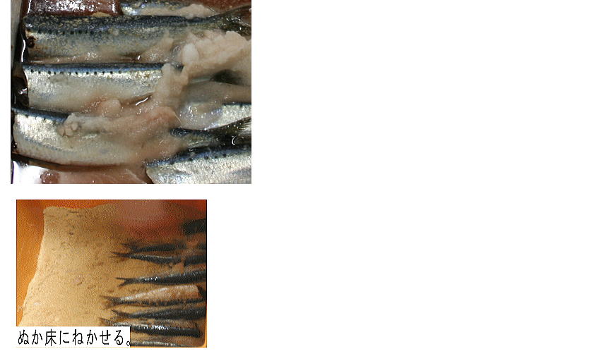 いわしぬか漬け作り方|新鮮
