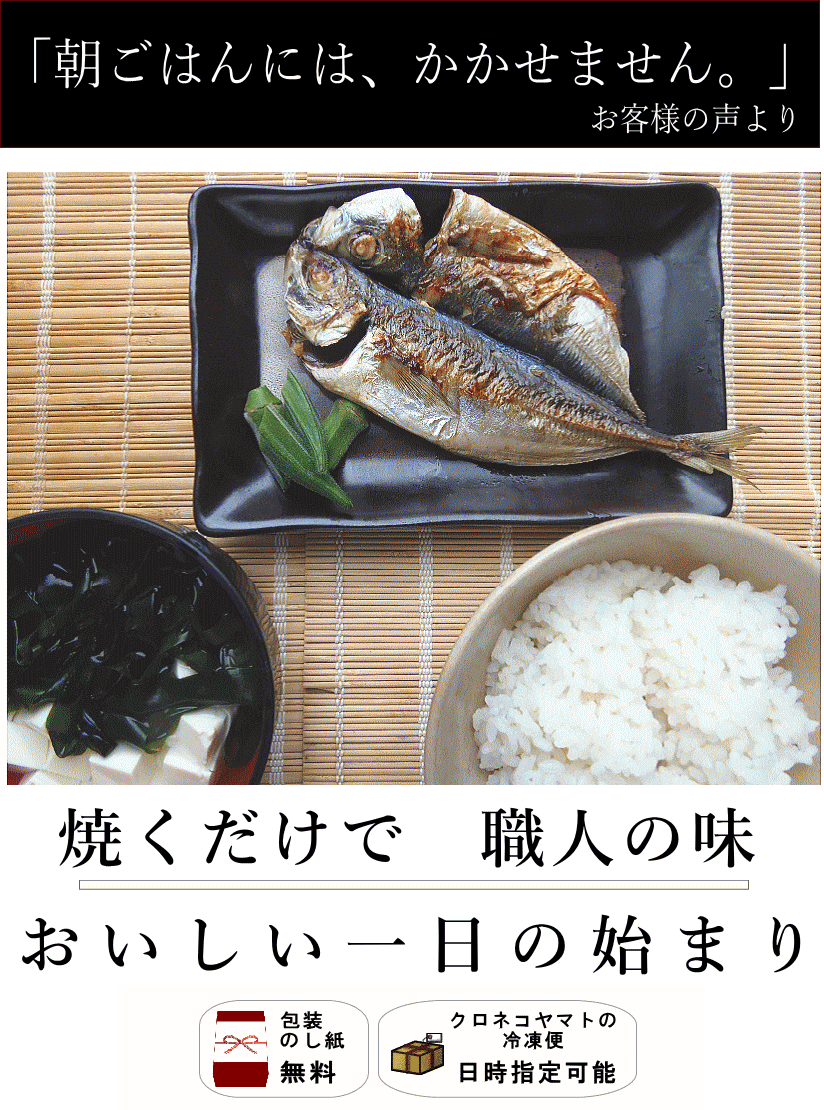あじの開き 4枚入り 鮭 専門店 新潟たけうち あじの開き 4枚入り 鮭 専門店 新潟たけうち