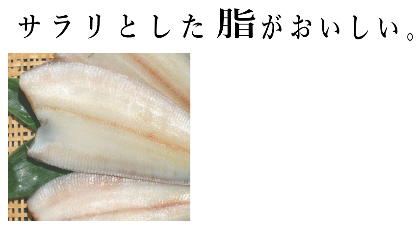 黒柳かれい